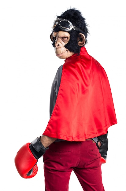 Free photo superhero monkey man