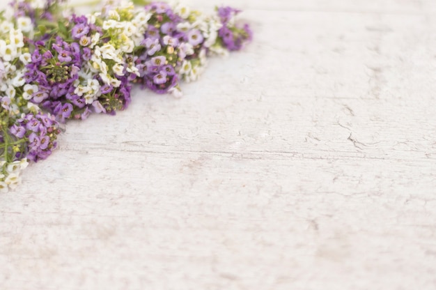 Surface with purple and white flowers