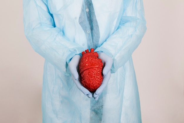 Surgeon's hands holding a heart