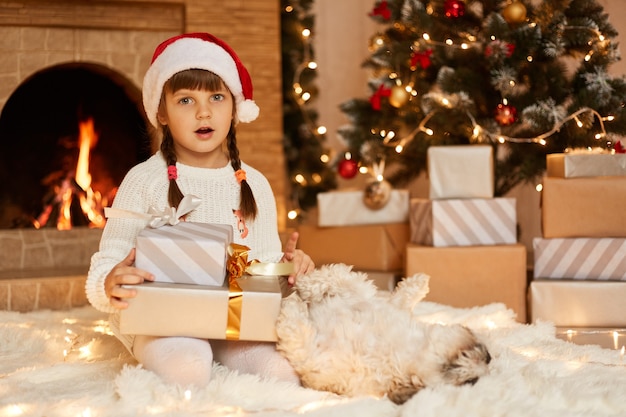 Surprised little girl wearing white sweater and santa claus hat, posing with dog in festive room with fireplace and Xmas tree, holding present box in hands.