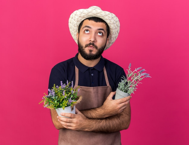 surprised young caucasian male gardener wearing gardening hat holding flowerpots crossing arms and looking up isolated on pink wall with copy space