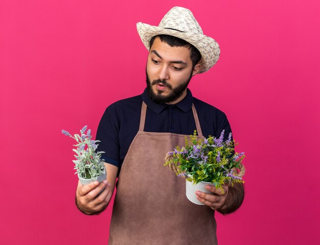 surprised young caucasian male gardener wearing gardening hat holding and looking at flowerpots isolated on pink wall with copy space