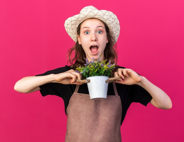 Free photo surprised young female gardener wearing gardening hat holding flower in flowerpot