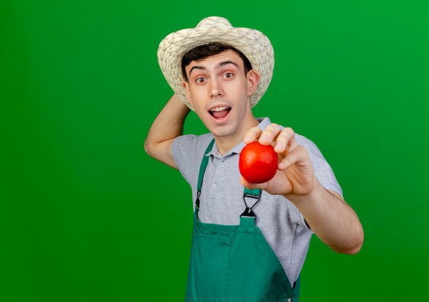 Free Photo surprised young male gardener wearing gardening hat holds tomato and raises hand 