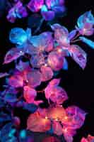 Free photo surreal neon tropical flowers