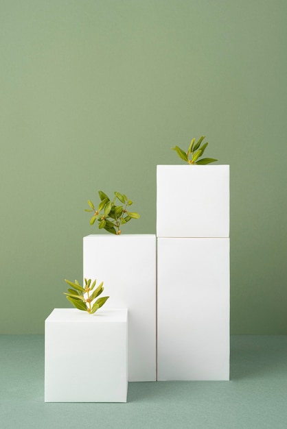 Free photo sustainability concept with blank geometric forms and growing plant