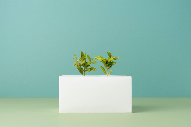 Free Photo sustainability concept with blank geometric forms and growing plant