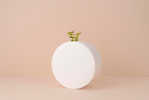 Free Photo sustainability concept with blank geometric forms and growing plant