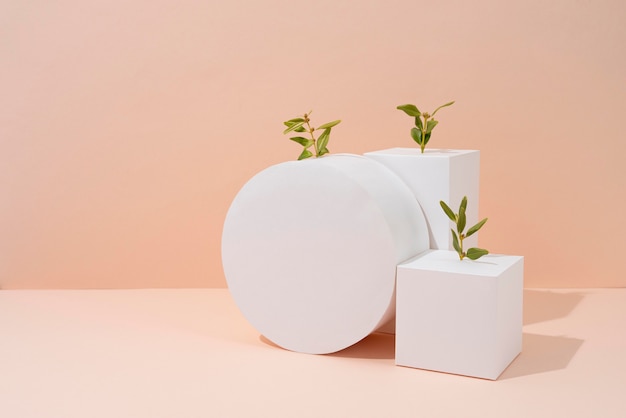 Free photo sustainability concept with blank geometric forms and growing plant