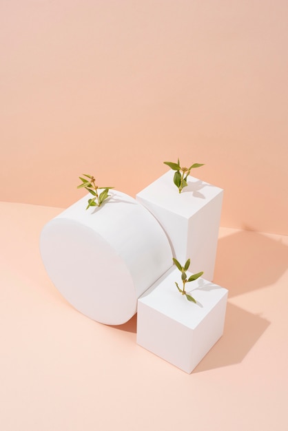 Sustainability concept with blank geometric forms and growing plant