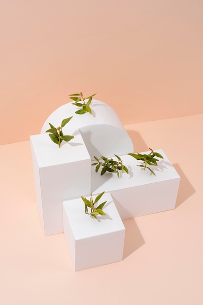 Sustainability concept with blank geometric forms and growing plant