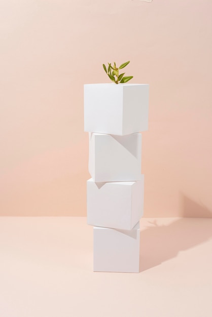 Free Photo sustainability concept with blank geometric forms and growing plant