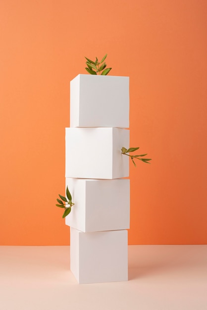 Free Photo sustainability concept with blank geometric forms and growing plant