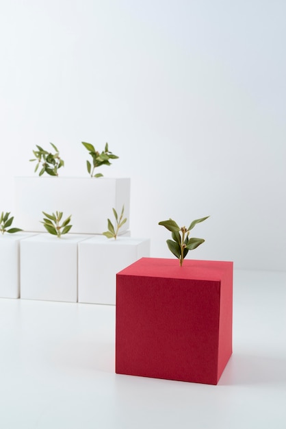 Free photo sustainability concept with blank geometric forms and growing plant