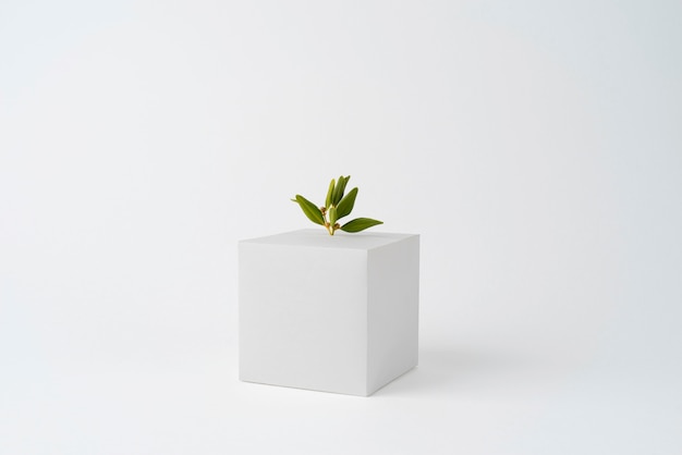 Free photo sustainability concept with geometric forms and growing plant