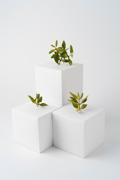 Free photo sustainability concept with geometric forms and growing plant