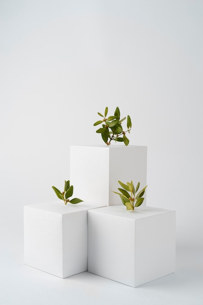 Free photo sustainability concept with geometric forms and growing plant