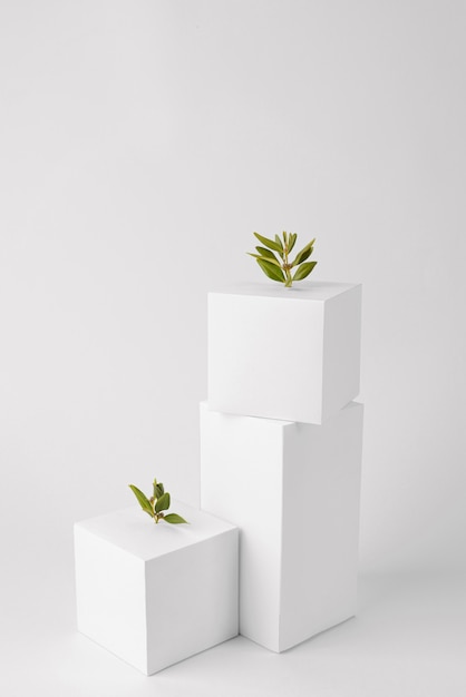 Free photo sustainability concept with geometric forms and growing plant