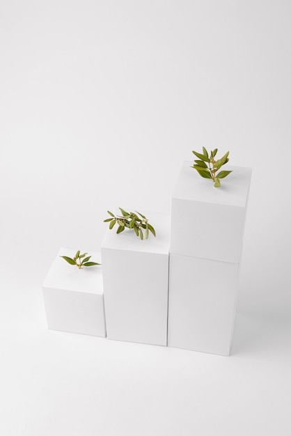 Free photo sustainability concept with geometric forms and growing plant