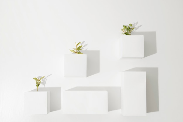 Sustainability concept with geometric forms and growing plant