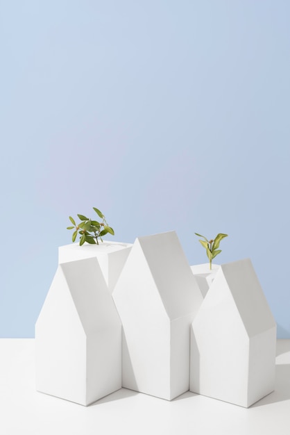 Sustainability concept with geometric forms and growing plant