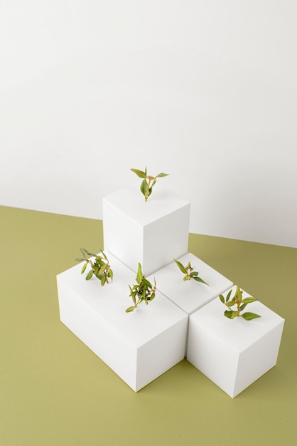 Sustainability concept with plants growing from blank geometric forms