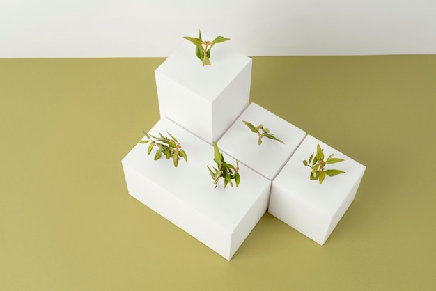 Free Photo sustainability concept with plants growing from blank geometric forms