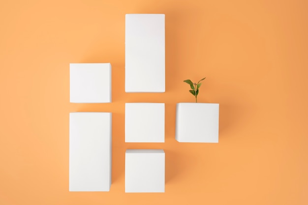 Free photo sustainability concept with plants growing from blank geometric forms