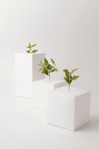 Free photo sustainability concept with plants growing from blank geometric forms