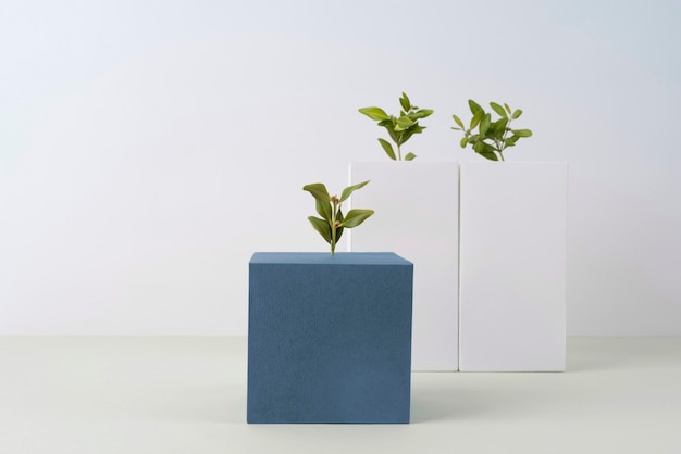 Free photo sustainability concept with plants growing from geometric forms