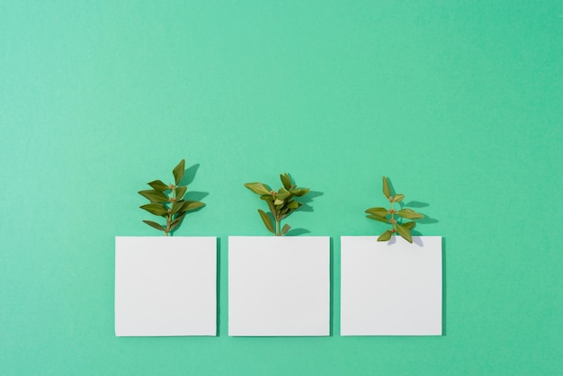 Free Photo sustainability concept with plants growing from geometric forms