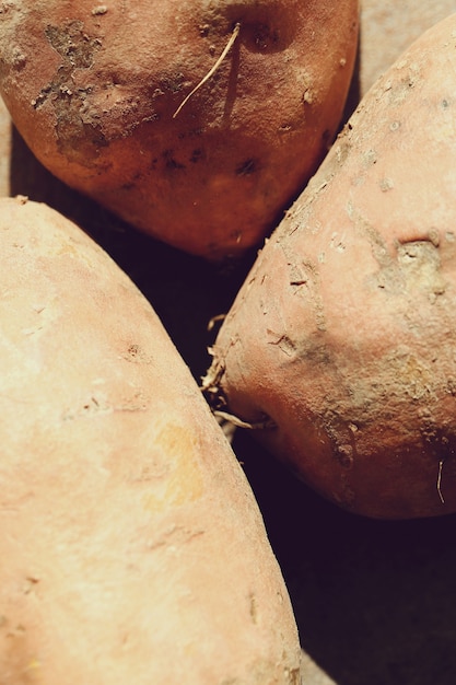 Free photo sweet potatoes