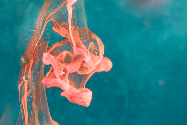 Free Photo swimming sea jellies underwater