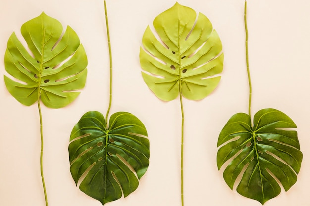 Free photo symmetrical flat lay composition of leaves