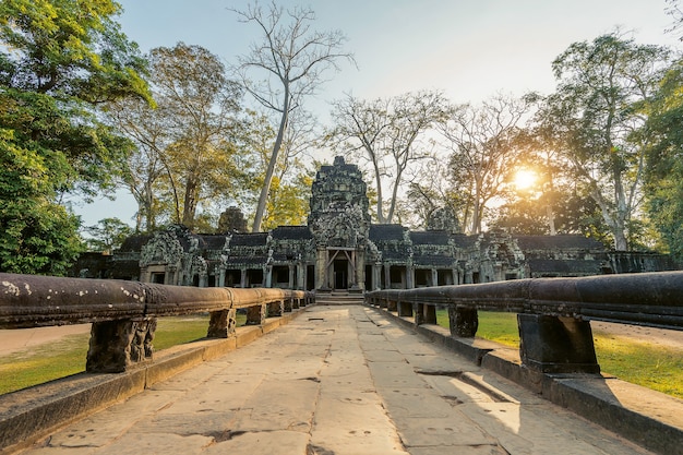 Free photo ta prohm, angkor wat in cambodia.