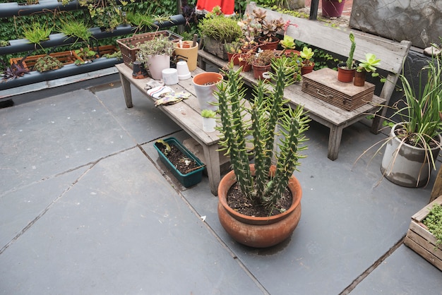 Free Photo table and bench full of plants