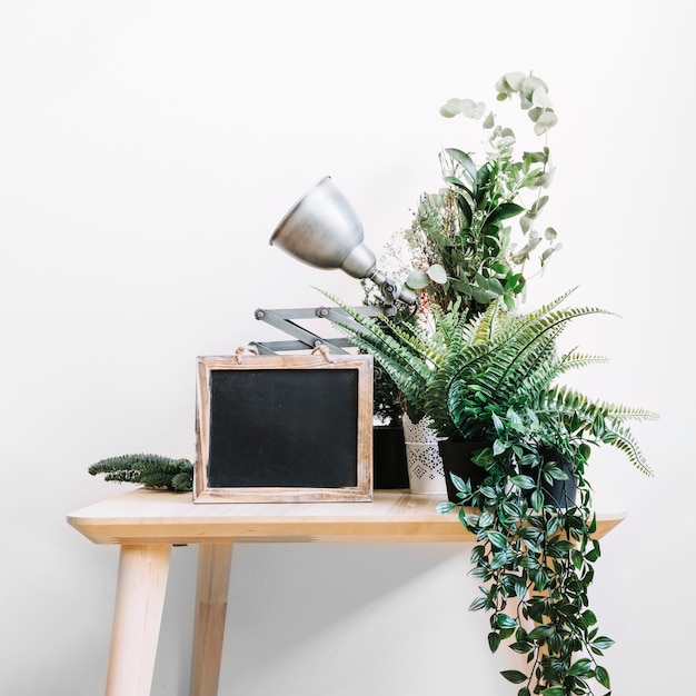 Free Photo table with slate, lamp and plants