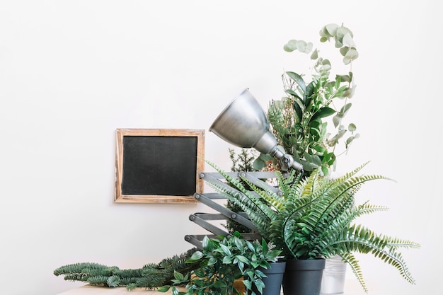 Table with slate and plants