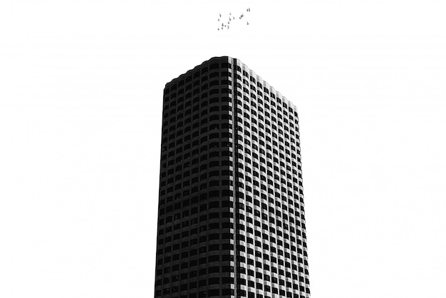 A tall building with pure white isolated