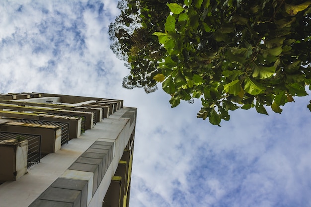 Free Photo tall skyscraper next to a tree