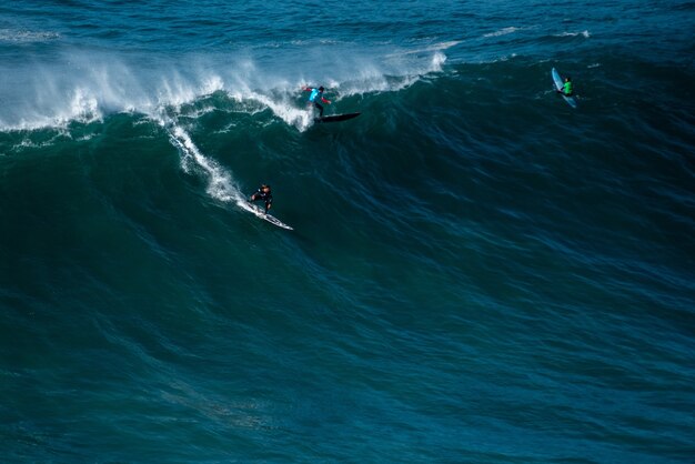 Tall wave of the Atlantic Ocean carrying the surfers towards the shore of Nazare, Portugal