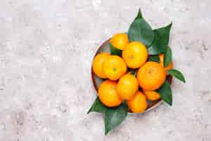 Free photo tangerines (oranges, clementines, citrus fruits) with green leaves on concrete surface with copy space