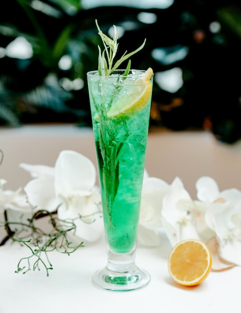 Tarragon with lemon slice and ice