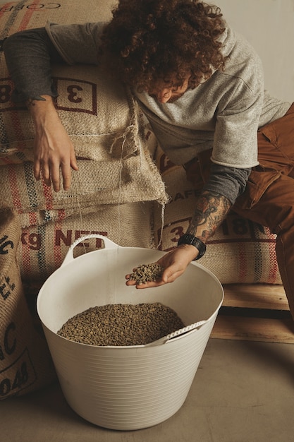 Free photo tattooed barista checks raw green coffee beans from white plastic basket, sitting on cotton bags in warehouse.