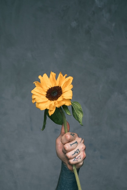 Free photo tattooed man's hand holding sunflower against grey backdrop