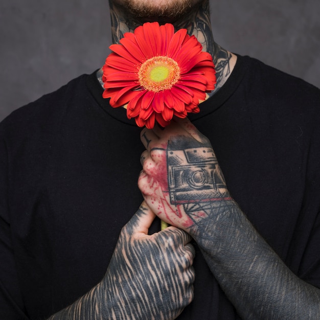 Free photo tattooed young man holding red gerbera flower in hand