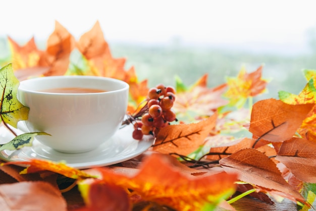 Free photo tea set among autumn leaves