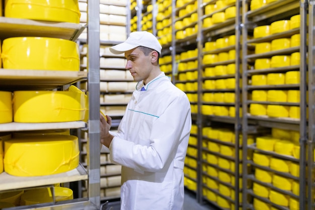 Technologist with cheese in his hands make an inspection of ready prooduction at the department of dairy factory