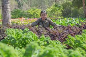 Free photo teenage girl in hydroponic garden during morning time food background