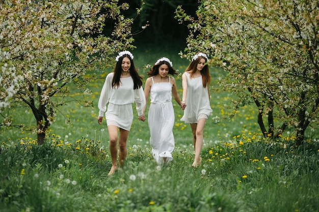 Free photo teenagers walking in the countryside on a spring day